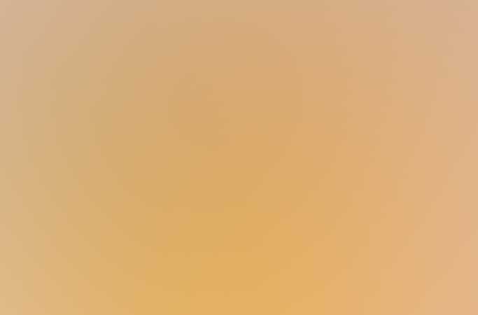 Free Template by ProBootstrap.com