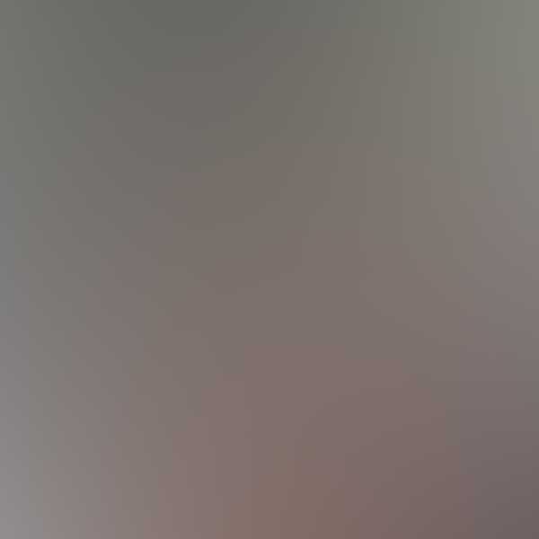 Free Template by ProBootstrap.com